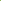 Lime Green Embellished Straight Suit Set with Net Dupatta